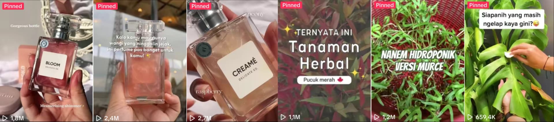 Showcase Content - Nou Creative